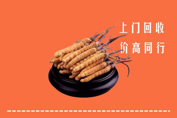 高价求购：顺昌县回收散虫草