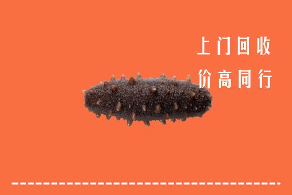 高价求购：顺昌县回收海参