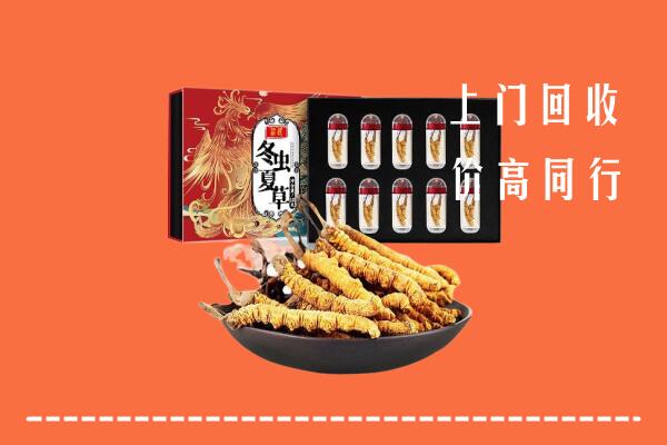 顺昌县回收虫草